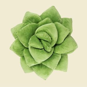 GREEN PHILOSOPHY: Lil Pop Succulent Pillow